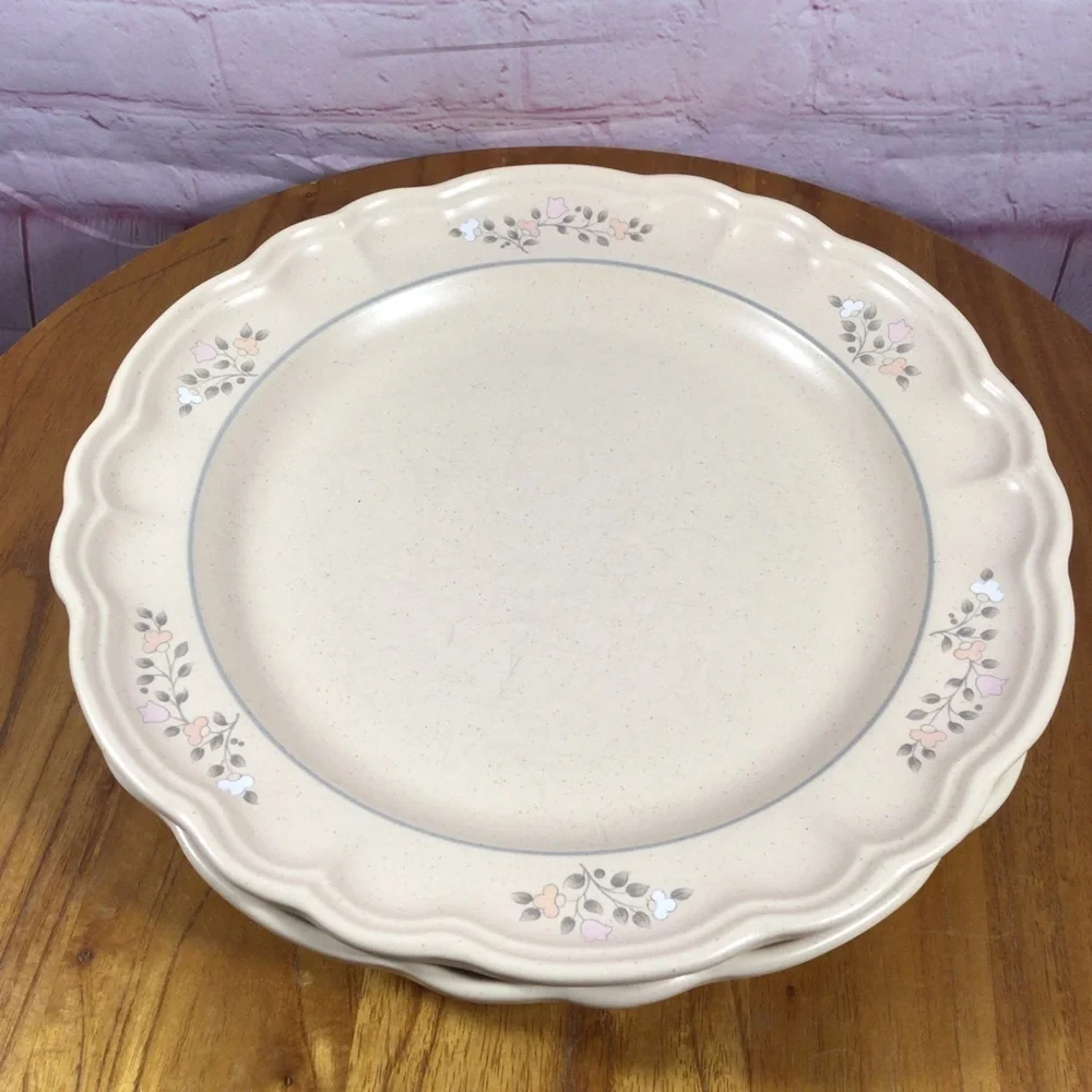 Vintage Pfaltzgraff Remembrance Dinner Plates - Set of 2